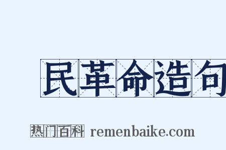 國民革命造句是什么意思的图片